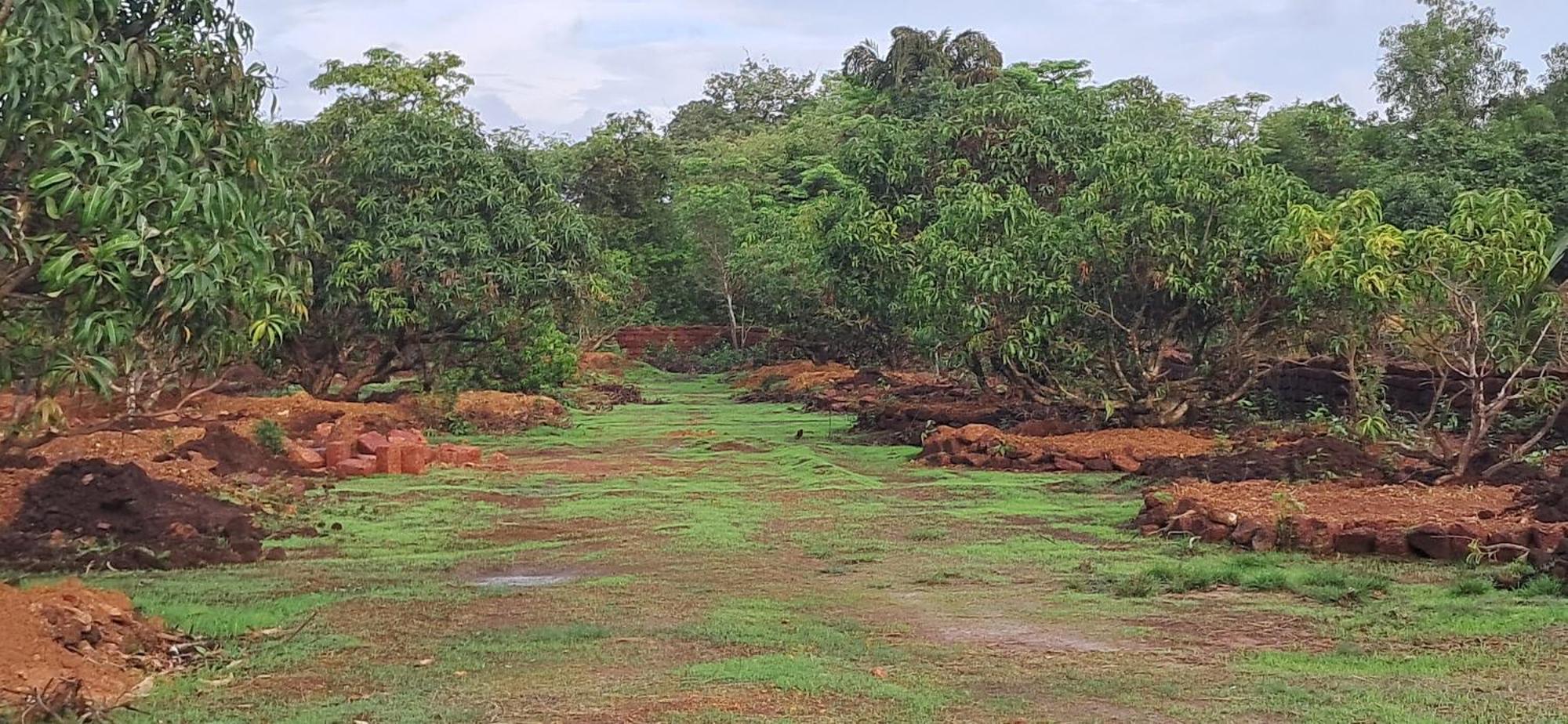 Arpita Farmstay Mālvan Εξωτερικό φωτογραφία
