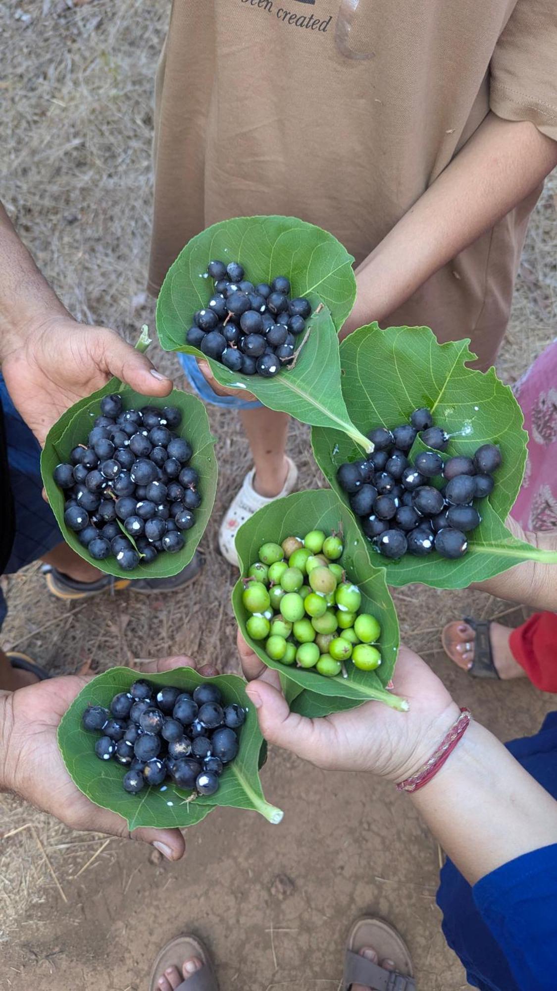 Arpita Farmstay Mālvan Εξωτερικό φωτογραφία